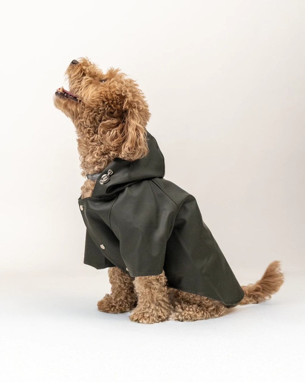 Köpek Yağmurluk -HAKİ