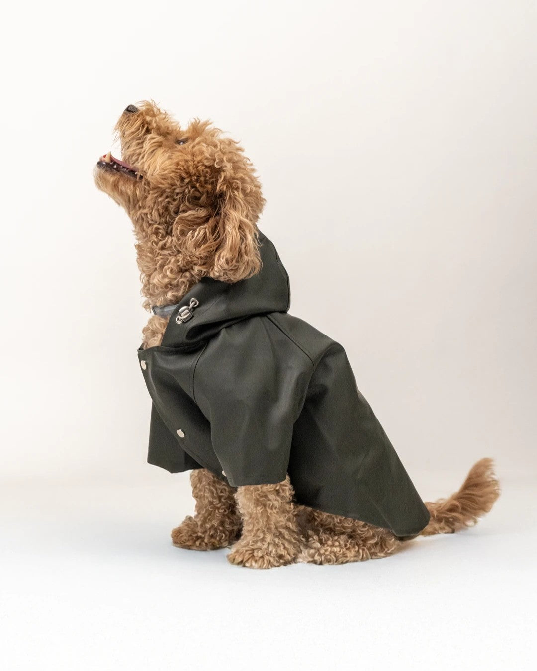 Köpek Yağmurluk -HAKİ