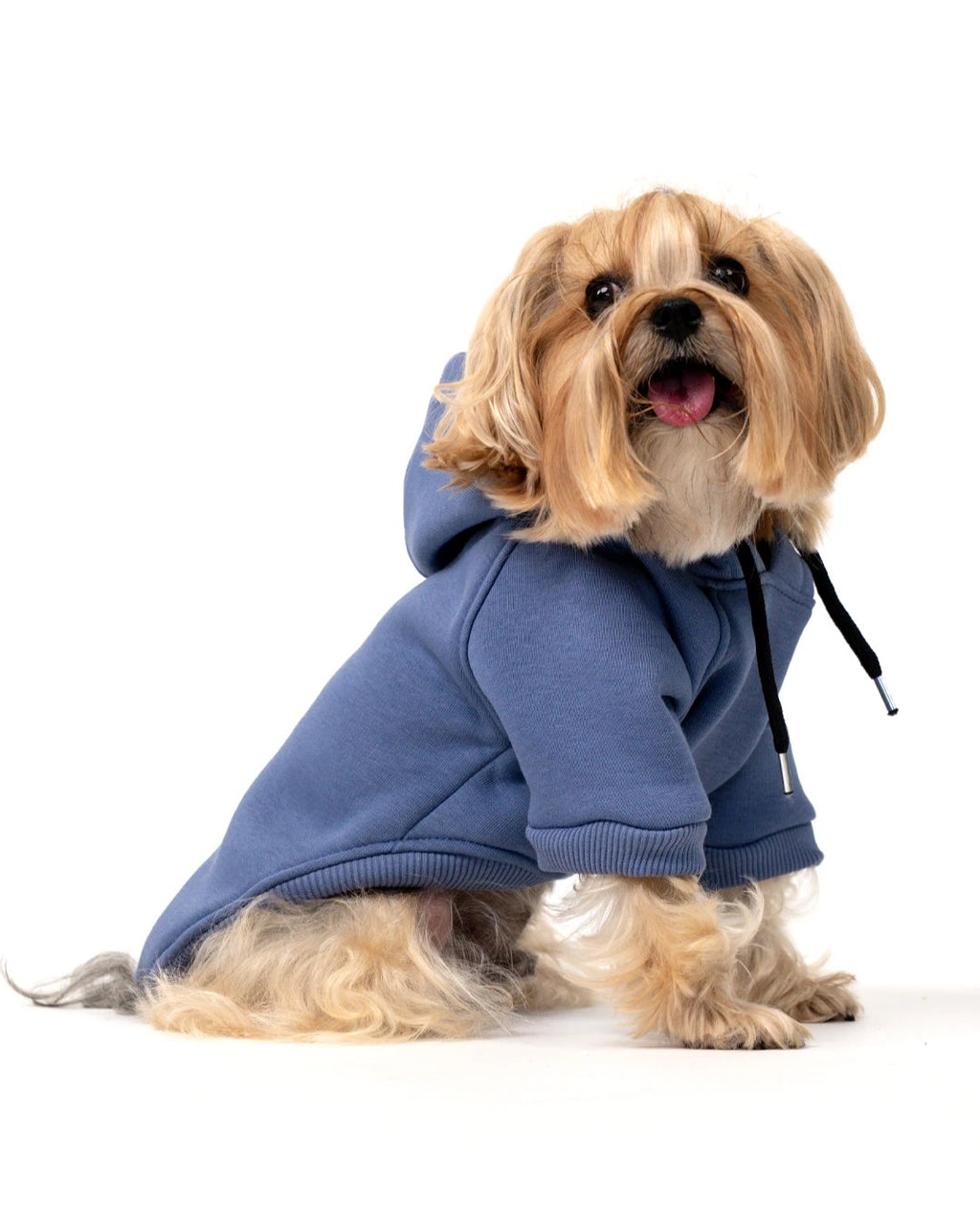 Köpek Hoodie - İndigo