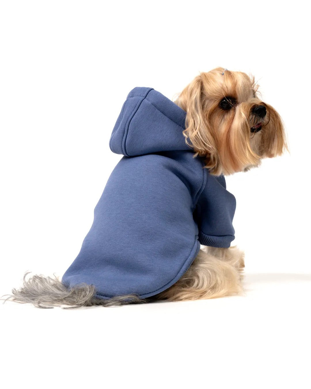 Köpek Hoodie - İndigo