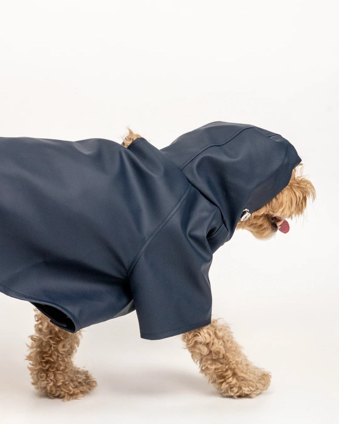 Köpek Yağmurluk - Lacivert