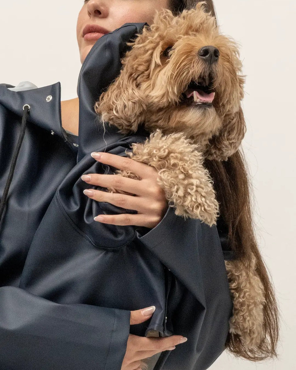 Köpek Yağmurluk - Lacivert
