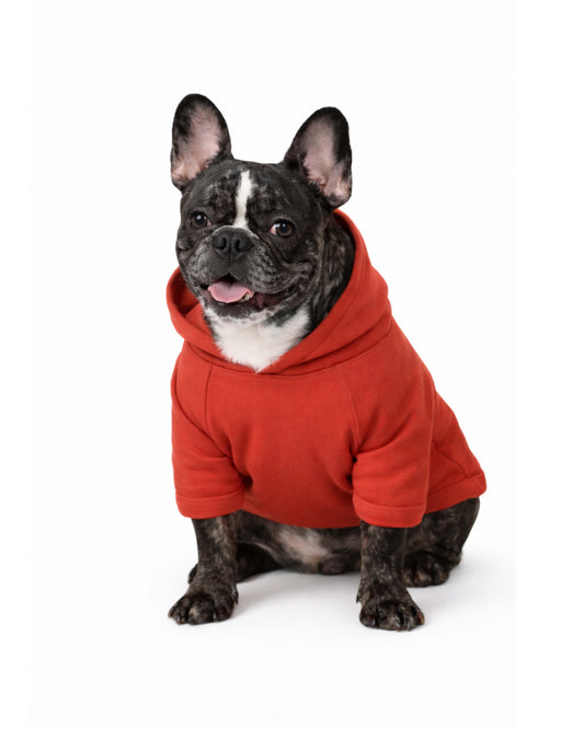Evcil Hayvan Hoodie - Kırmızı